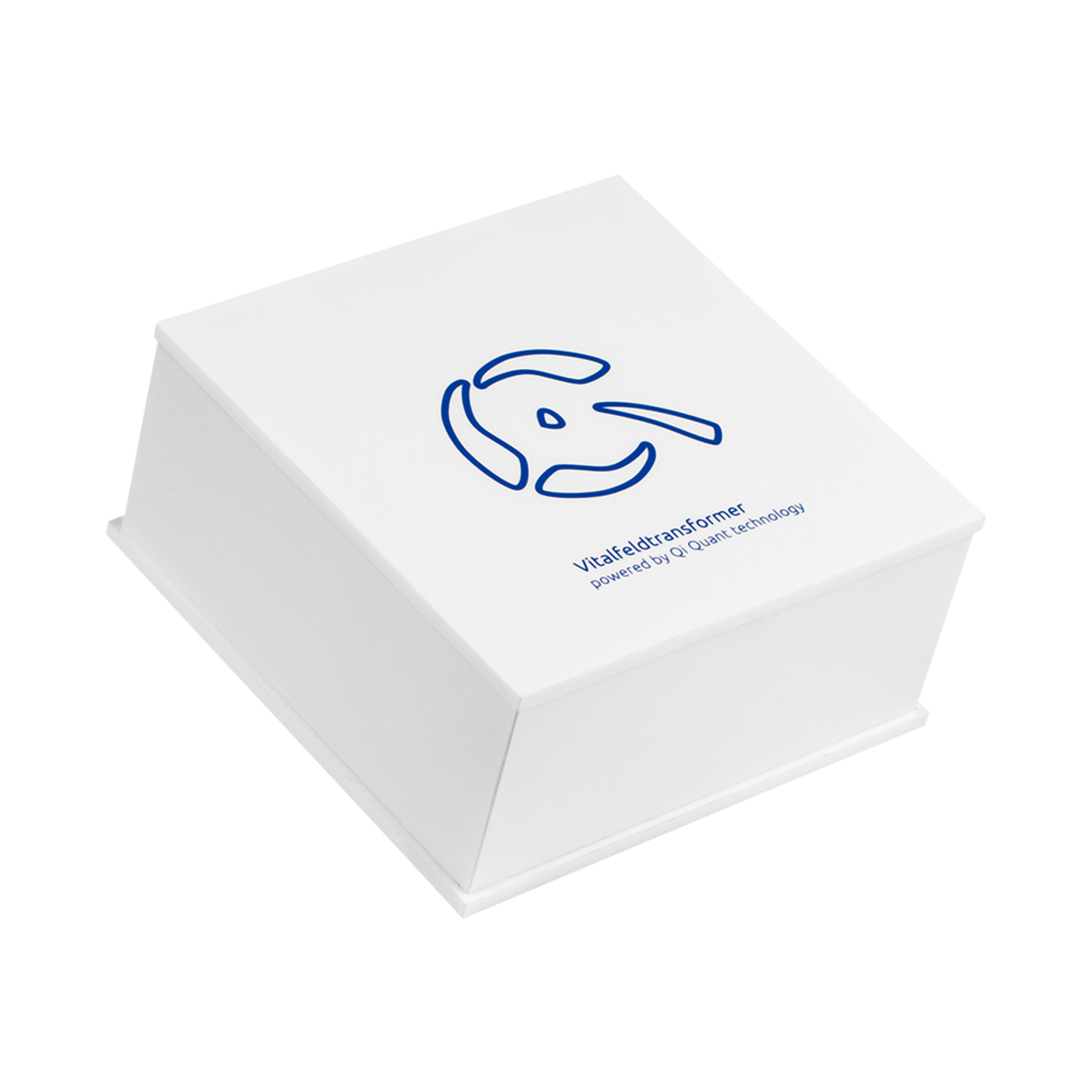 Vitalfeldtransformer